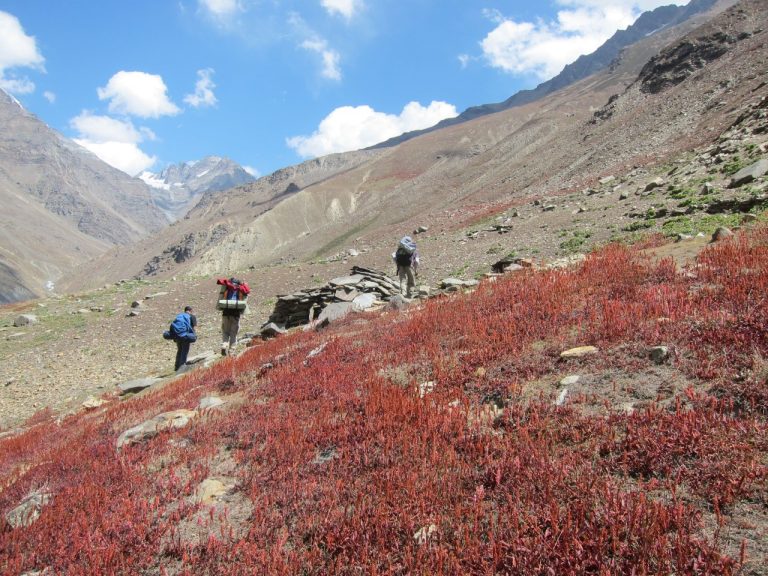 Aliyas Lake Trek