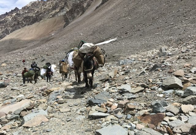 Pin Bhaba Pass Trek