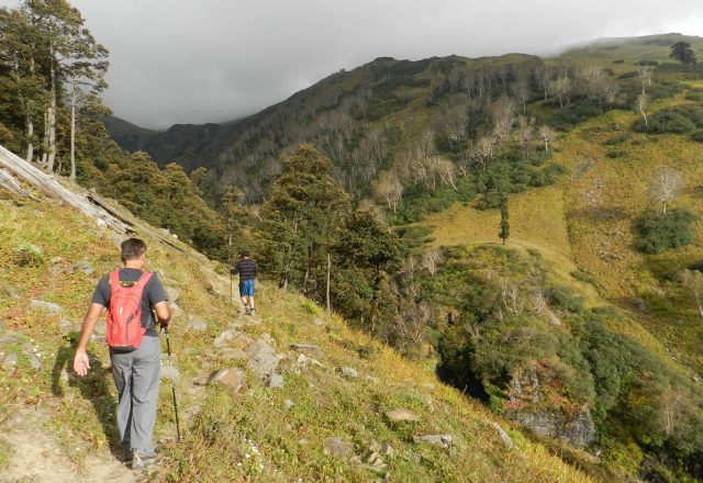 Bhrigu Lake Trek