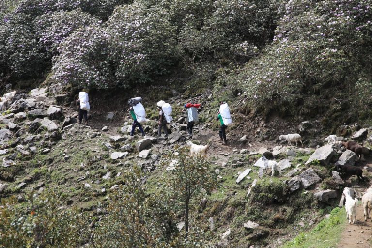 Chandrakhani Pass