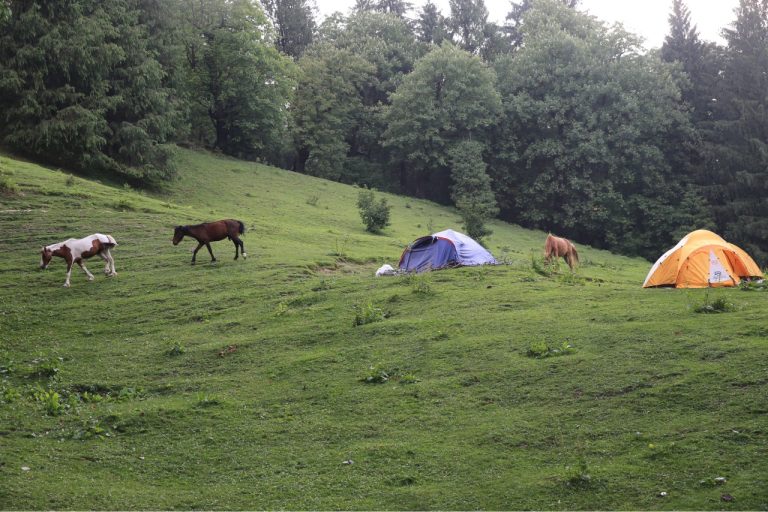 Chandrakhani Pass