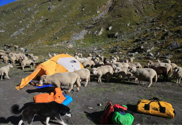 Hamta Pass Trek