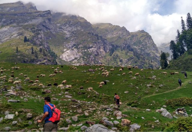 Hamta Pass Trek