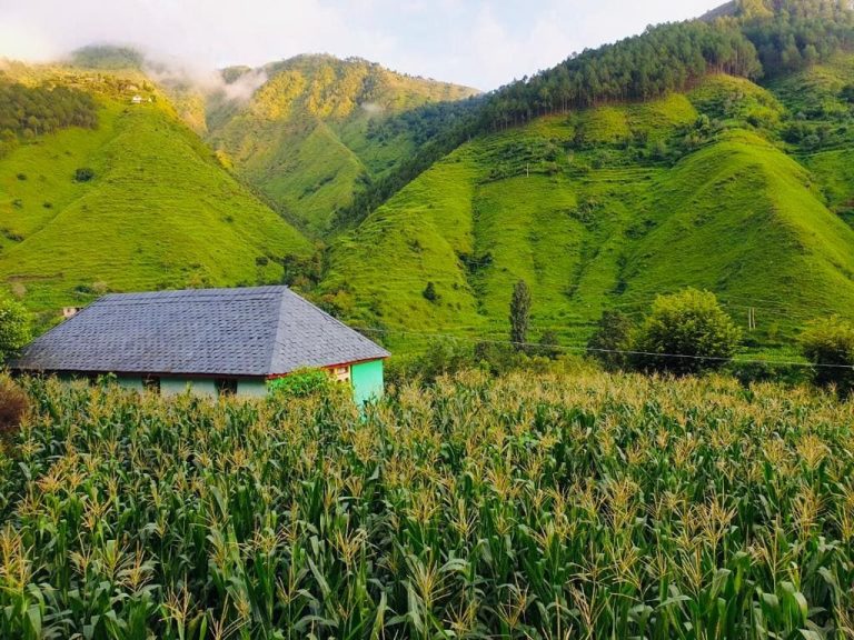 Miyad Valley