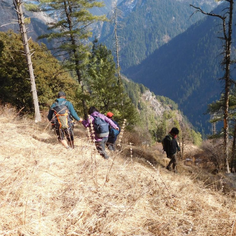 Rolla Hut Trek