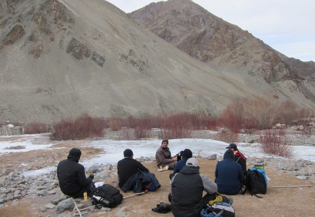 Extreme Winter Snow Leopard / Wildlife Search
