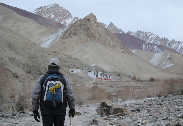 Extreme Winter Snow Leopard / Wildlife Search
