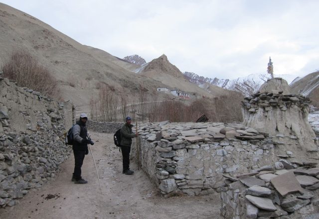 Extreme Winter Snow Leopard / Wildlife Search