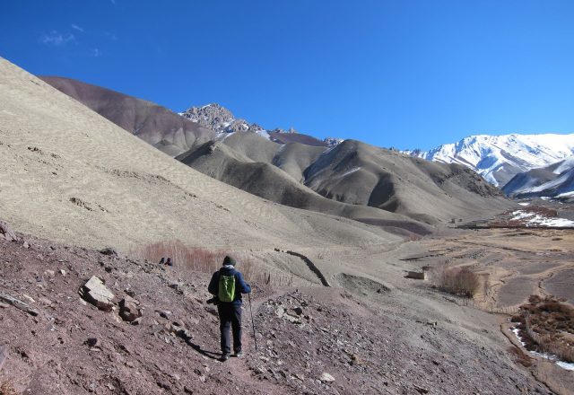 Extreme Winter Snow Leopard / Wildlife Search