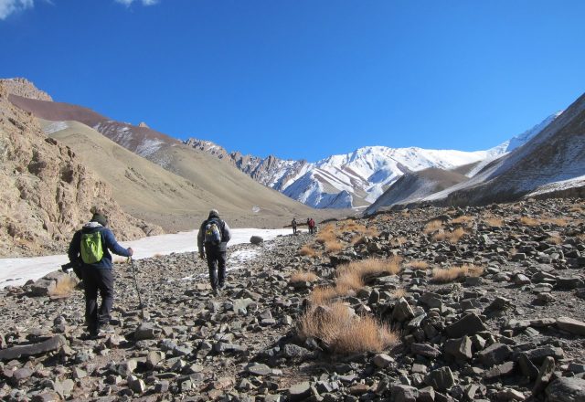 Extreme Winter Snow Leopard / Wildlife Search