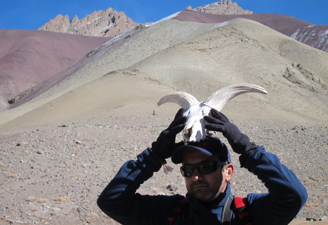 Extreme Winter Snow Leopard / Wildlife Search