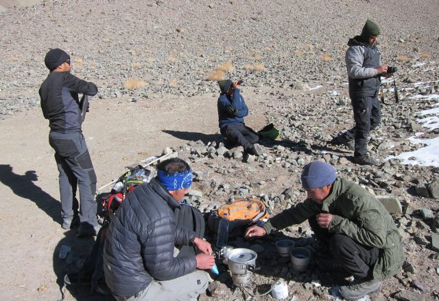 Extreme Winter Snow Leopard / Wildlife Search