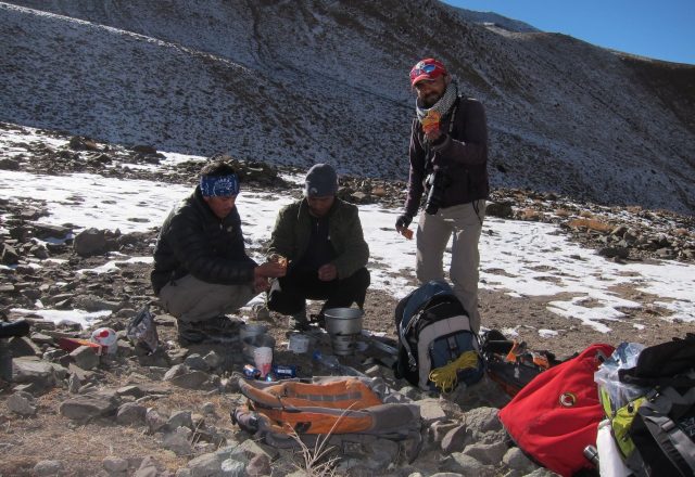 Extreme Winter Snow Leopard / Wildlife Search