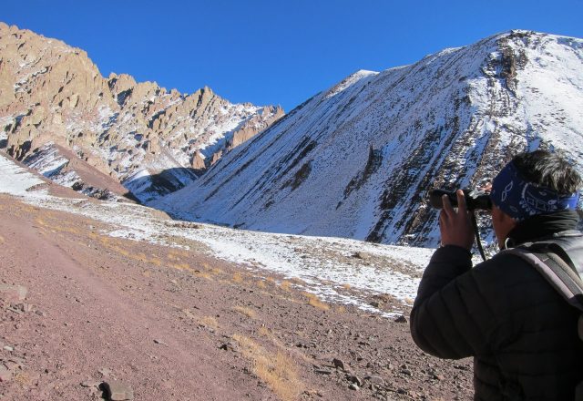 Extreme Winter Snow Leopard / Wildlife Search