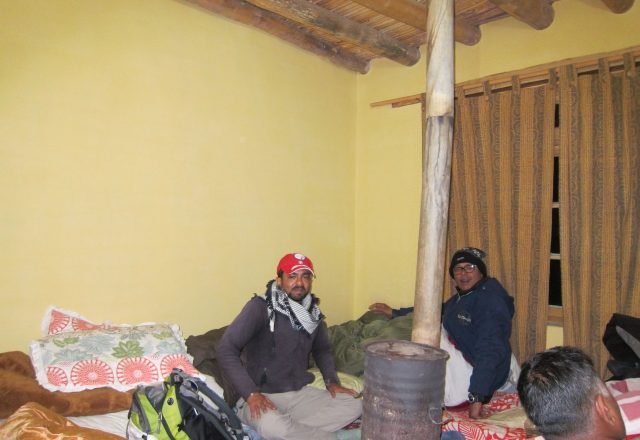 Extreme Winter Snow Leopard / Wildlife Search