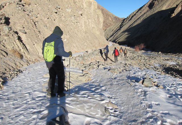 Extreme Winter Snow Leopard / Wildlife Search