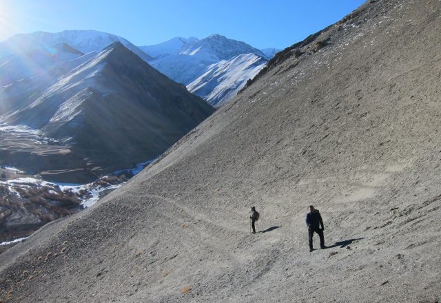 Extreme Winter Snow Leopard / Wildlife Search