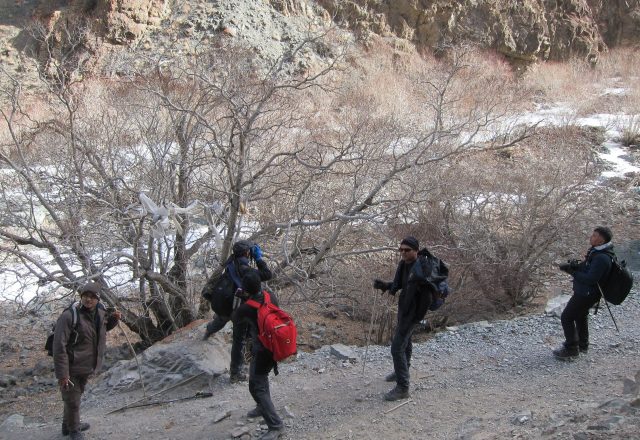 Extreme Winter Snow Leopard / Wildlife Search