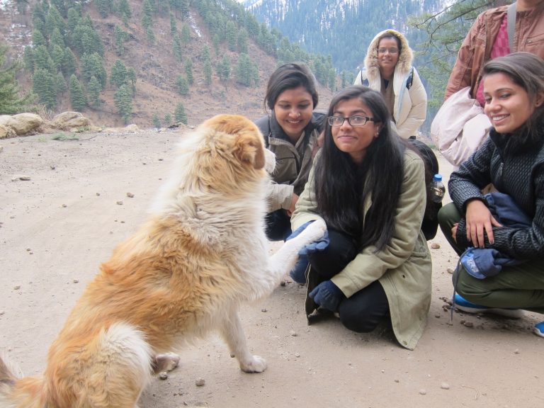 Tirthan Valley