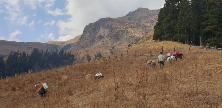 Tosh Valley Trek