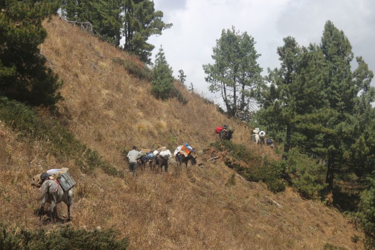 Tosh Valley Trek