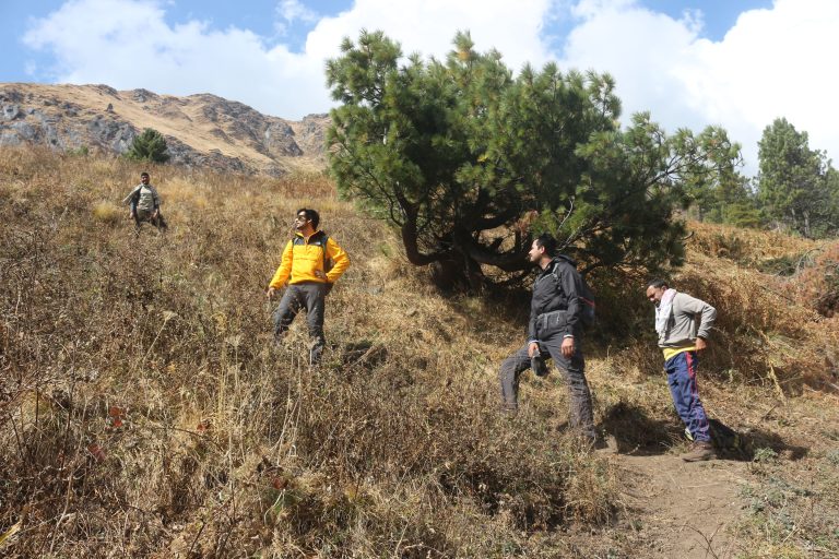 Tosh Valley Trek