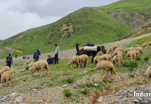 Union Territory - Jammu & Kashmir