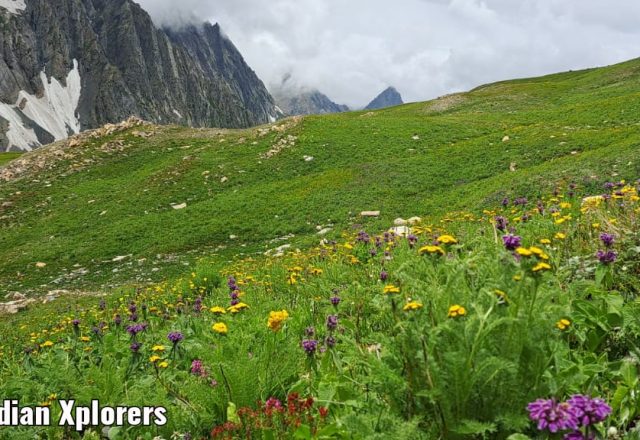 Union Territory - Jammu & Kashmir