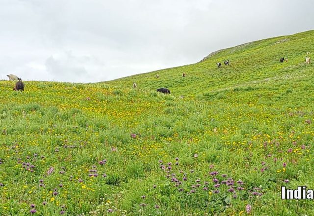 Union Territory - Jammu & Kashmir